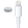 Cablu USB-A / Lightning de sincronizare şi de încărcare, pentru iPhone / iPad / iPod / AirPods - 1 m - alb