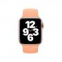 Curea din silicon filetat pentru Apple Watch Ultra 49mm / 46mm / 45mm / 44mm / 42mm - M - portocaliu