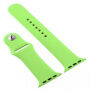 Curea din silicon cu carcasă cu sticlă călită pentru Apple Watch 45mm / 44mm - verde