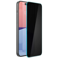 Spigen Sticlă temperată GLAS.tR EZ Fit Anti-Spy pentru iPhone 16 Pro