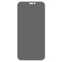 Sticlă securizată de protecție Anti-Spy pentru iPhone 12 mini