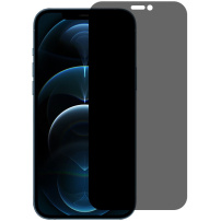Sticlă de protecție securizată Anti-Spy pentru iPhone 12 / 12 Pro