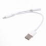 Reducţie Lightning la jack 3,5 mm + adaptor USB, pentru Apple iPhone / iPad