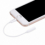 Reducţie HOCO, Lightning la jack 3,5 mm, pentru Apple iPhone 8 / 7 / 7 Plus