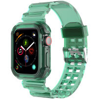 Carcasa rezistenta cu curea transparenta pentru Apple Ceas 46mm - verde